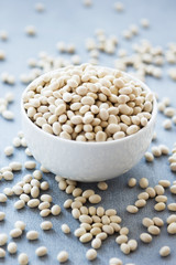 White beans in a white bowl close up, vertical layout