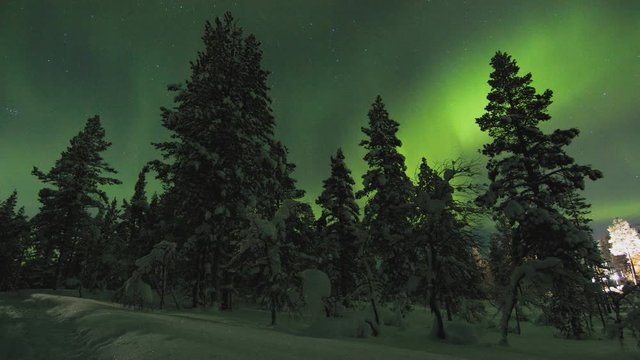 Aurora borealis (northern light) timelapse behind trees outside Saariselka village on a winter night. Northern Lapland, Finland.