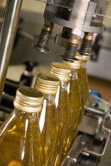 Olive oil Production conveyor belt