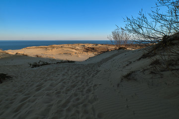 Sunset view of nordic dunes and bushes at Baltic sea at Curonian spit, Nida, Klaipeda, Lithuania