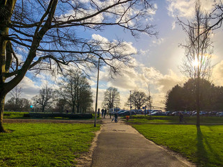 A late afternoon in winter in a park in The UK.