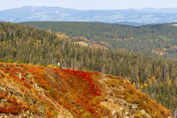 Scenic view at landscape from Feldberg, Black Forest in autumn with multi colored vegetation