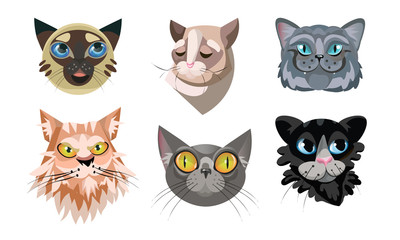 Set of different cute cat faces. Vector illustration in flat cartoon style.