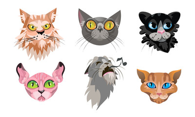 Set of different cute cat faces. Vector illustration in flat cartoon style.