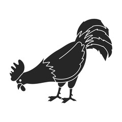 Cock of animal vector icon.Black,simple vector icon isolated on white background cock of animal.