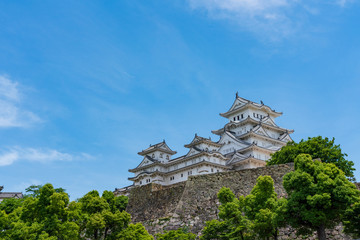 Fototapeta premium 姫路城