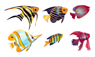 Fototapeta na wymiar Set of various colorful coral reef fish. Vector illustration in the flat cartoon style