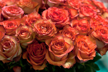 Large bouquet of orange roses, roses at a flower show, close up photo