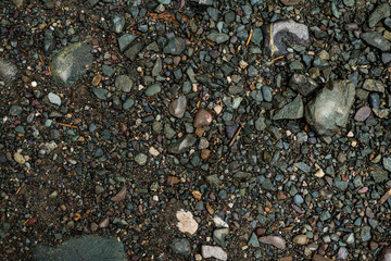 The texture of a shallow river stone. Pebble Background Image