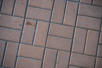 Texture of paving slabs overgrown with grass. Background image of a stratum stone
