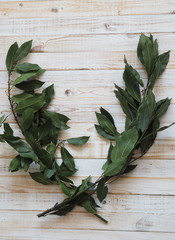 Laurel wreath. Branch of dried bay leaf. Use in medicine and in the food industry. Organic food.
