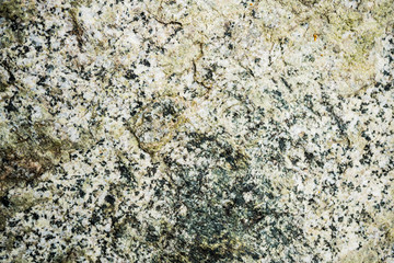 The texture of the stone overgrown with moss. Background image of a boulder