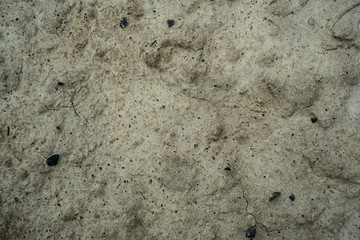 Fototapeta na wymiar Texture of dried cracked clay. Macro background image of dried clay