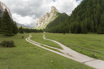A single mountain path splits in two different directions.