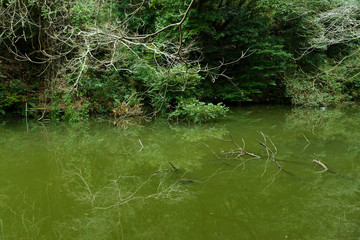 神奈川県三浦市南下浦の風景