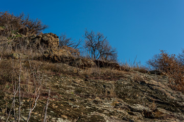 rocks in the foreground in the forest