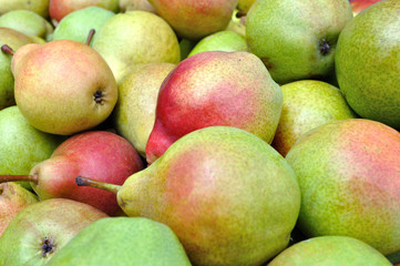 close-up of stack of ripe organic pears after harvesting