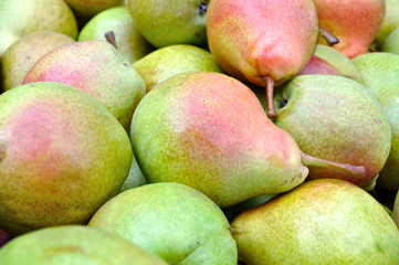 close-up of stack of ripe organic pears after harvesting