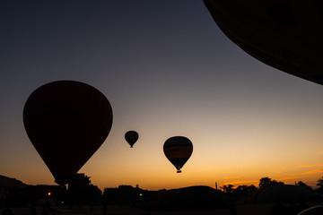 Envol de mongolfières au petit matin