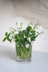 Bouquet of snowdrops in glass on white background