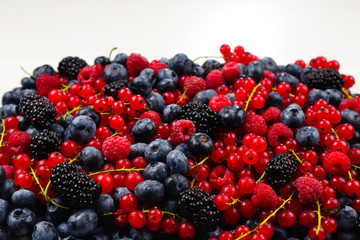Blackberry, raspberry, blueberry,  red currant and mint background.