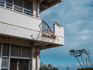 東日本大震災の被災地、荒浜地区に残っている荒浜小学校。