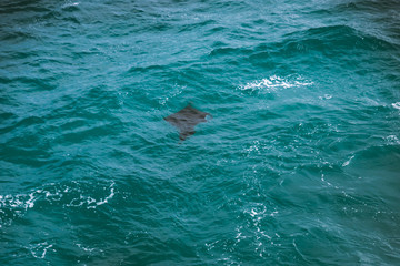Lembongan Island with views of the ocean and its various places. Travel to the paradise tropics. Waves, cacti and surf. Bali island, Indonesia.