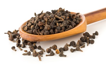 Heap of raw, dried cinnamon blossom buds spice in wooden spoon over white