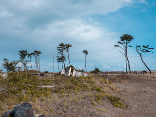 東日本大震災の被災地、荒浜地区。