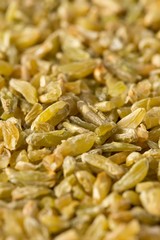 Uncooked, raw freekeh or firik, roasted wheat grain, close up macro