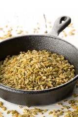 Uncooked, raw freekeh or firik, roasted wheat grain, in metal pan on white rustic table background