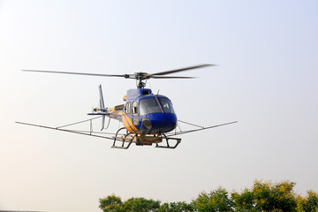 Agricultural helicopters fly in the air