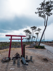 東日本大震災の被災地、荒浜地区。