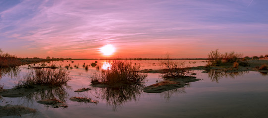 coucher de soleil violet et rose en panoramique sur des étangs 