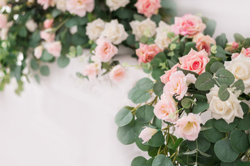 Beautiful rose flowers on a light background. Floral frame in soft colors with white space for text. Art flower background for greeting card for Mother's Day and Valentine's day.