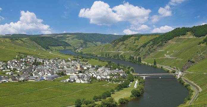 Weinort Trittenheim nahe Cochem an der Mosel,Moseltal,Rheinland-Pfalz,Deutschland