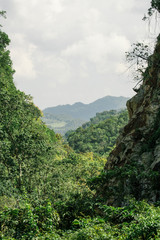 Green meadow in the mountains in winter