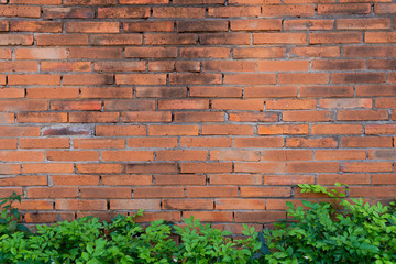 Red brick wall and  green tree below, background, copy space