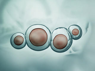 Macro close up of soap bubbles look like scientific image of cell and cell membrane