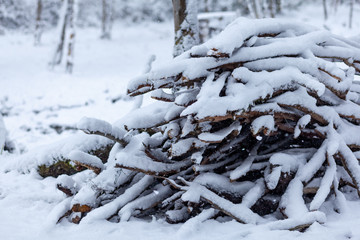 Winter landscape with harvesting firewood in the forest