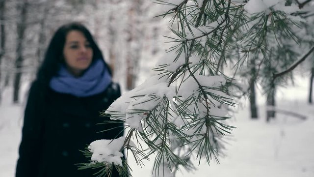 Female Hand Touches Pine Tree Branches Covered With Snow. Holidays Vacation Walking Hiking in Winter Forest During Snowfall. Frost Weather In the Wood. Slow motion 60 fps