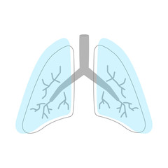Lungs. Respiratory system. Breath.Trachea, and bronchi. Sketch, retro style.