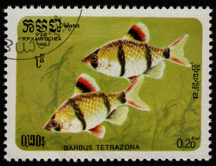 CAMBODIA - CIRCA 1985: post stamp 0.2 Cambodian riel printed by Kingdom of Cambodia, shows fish...