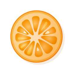Orange slice on white background. Juicy ripe orange. Vector illustration.