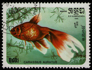 CAMBODIA - CIRCA 1985: post stamp 0.8 Cambodian riel printed by Kingdom of Cambodia, shows fish...
