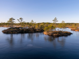 Obraz premium beautiful bog landscape in the morning