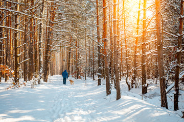 Man and dog are best friends. A man and a dog are walking along a road in a snowy forest on a winter sunny day
