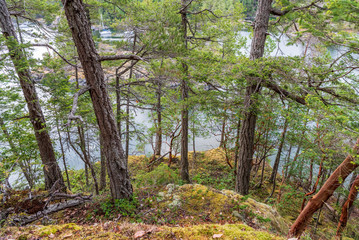Mountain Trail in British Columbia, Canada. Rocky Background.