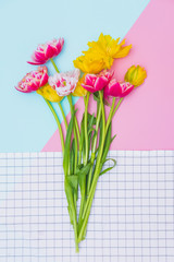 Colorful tulip flowers on geometry background in memphis style. Minimal floral composition. Popular International Women's Day concept.