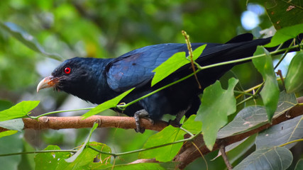 Birds in wild with natural beauty.....